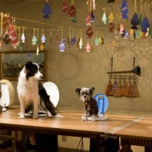 Un'immagine della commedia Hotel Bau