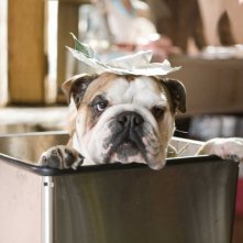 Un'immagine di Hotel Bau