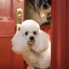 Un'immagine tratta da Hotel Bau