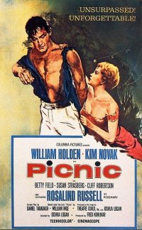 Locandina di Picnic