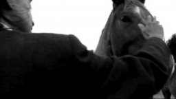 Barking Water - Trailer