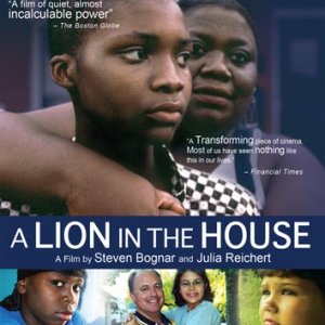 La locandina di A Lion in the House