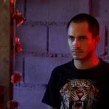 Gael Garcia Bernal Nel Film Mammoth 103827
