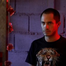 Wallpaper di Gael García Bernal nel film Mammoth