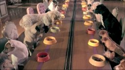 Hotel Bau - Trailer Italiano 2