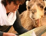 Italians ancora in vetta al box-office