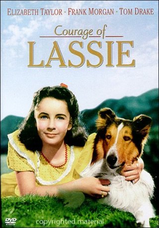 La locandina di Il coraggio di Lassie