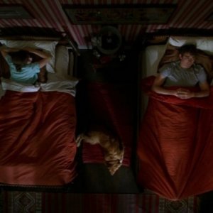 Lee Pace e Anna Friel nell'episodio 'Il super cane' della serie tv Pushing Daisies