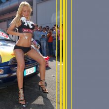 Un sexy wallpaper di Laura Drzewicka, la Barbie Girl del Grande Fratello 9 in versione car-wash