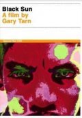 La locandina di Black Sun
