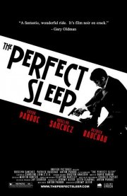 La locandina di The Perfect Sleep