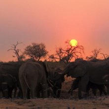 Un'immagine di Earth - La nostra terra