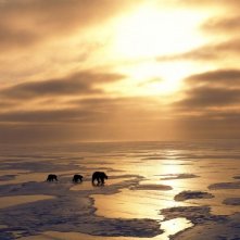 Una suggestiva immagine del documentario Earth - La nostra terra, diretto da Alastair Fothergill e Mark Linfield