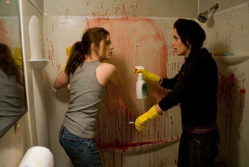 Amy Adams Ed Emily Blunt In Una Scena Del Film Sunshine Cleaning 108078