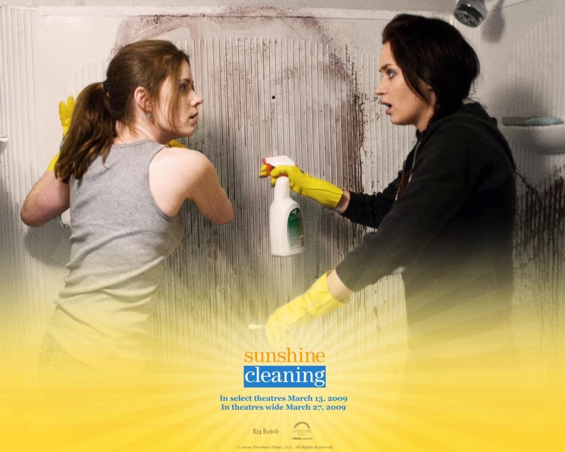 Un Wallpaper Del Film Sunshine Cleaning Con Amy Adams E Emily Blunt 108076