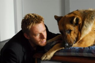 Kaspar Capparoni con Rex in una scena della dodicesima stagione della serie, la seconda prodotta in Italia