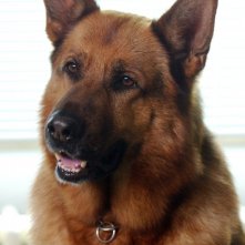 Un primo piano di Rex in una scena della serie