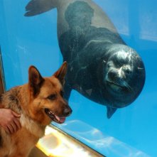 Fabio Ferri in una scena di Rex 2