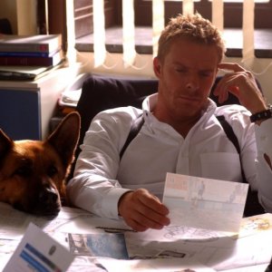 Kaspar Capparoni al lavoro con il cane Rex in una scena della dodicesima stagione della serie