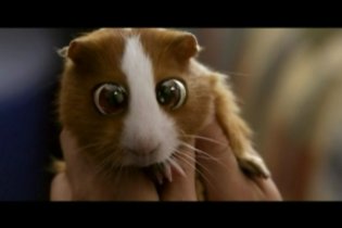 Racconti incantati - Interviste al cast