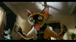 Cats & Dogs - Trailer