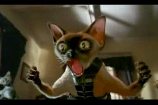 Cats & Dogs - Trailer