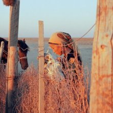 Un'immagine del film Tulpan, diretto da Sergei Dvortsevoy
