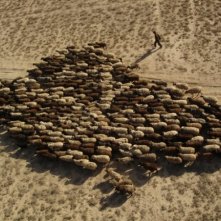 Una scena del film Tulpan