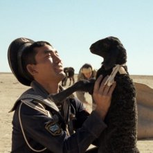 Una scena di Tulpan, Sergei Dvortsevoy