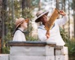 Recensione La vita segreta delle api (2008)