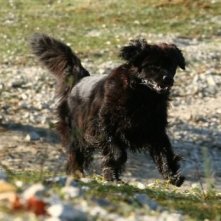 Una scena del film per la TV Al di là del lago