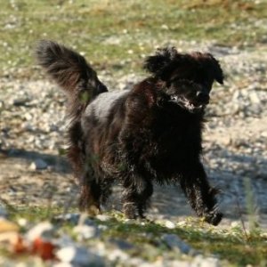 Una scena del film per la TV Al di là del lago