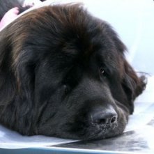 Una scena della fiction Al di là del lago