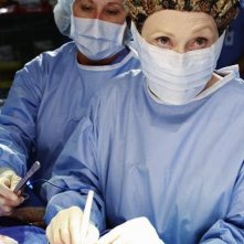 Faye Dunaway guest dell'episodio An Honest Mistake di Grey's Anatomy