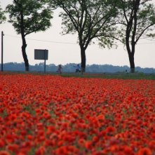 Una suggestiva immagine del film Settimo cielo