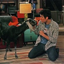 Josh Radnor con la capra in una scena dell'episodio The Leap di How I Met Your Mother