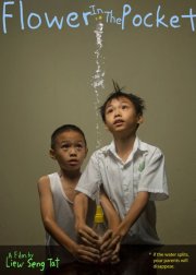 La locandina di Flower in the Pocket