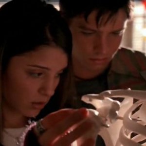 Jason Behr e Shiri Appleby sono Max e Liz nel primo episodio della serie Roswell