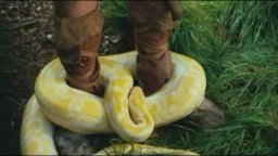 Year One - Trailer 2