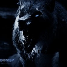 Un wallpaper di Brian Steele interpreta il licantropo William in 'Underworld: Evolution'