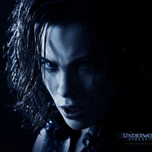 Un wallpaper di Kate Beckinsale che interpreta Selene in 'Underworld: Evolution'