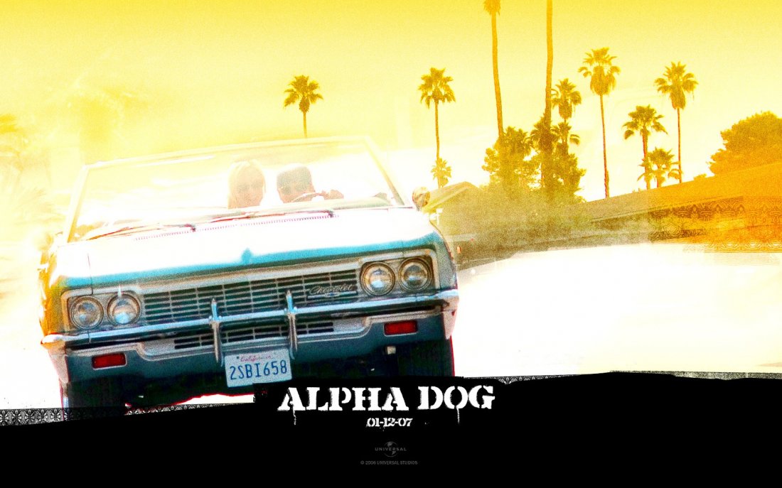 Un Wallpaper Del Film Alpha Dog 116446