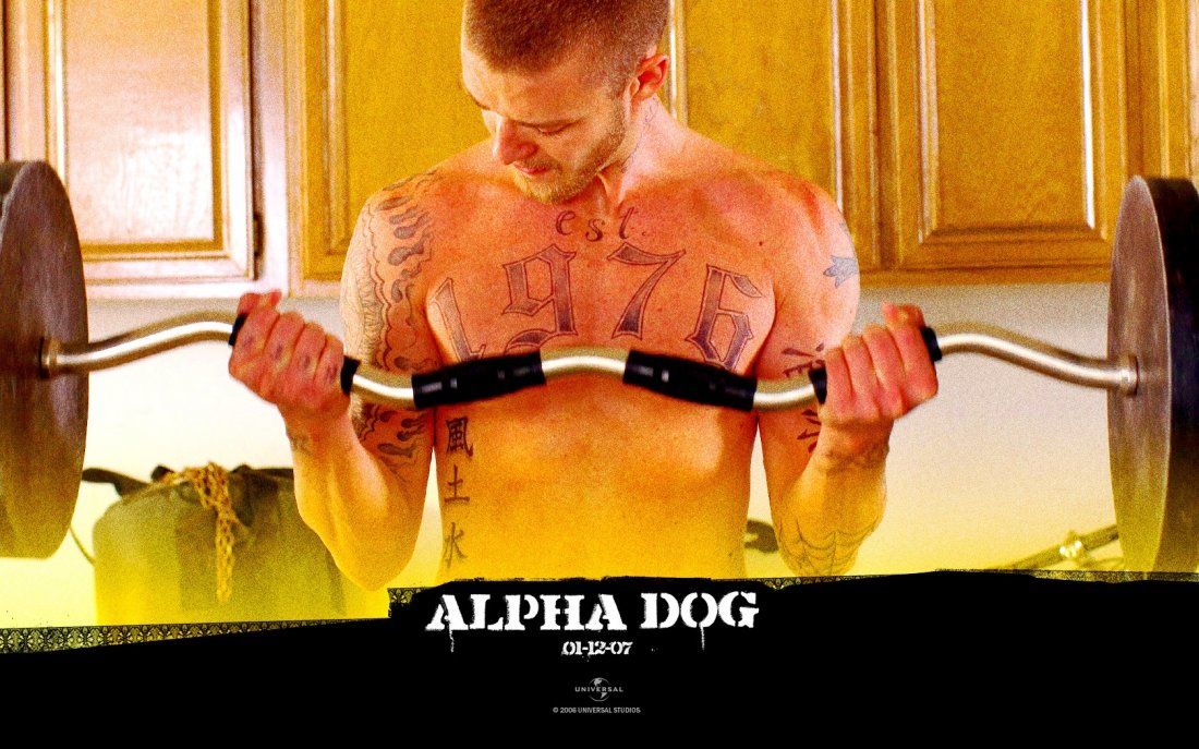 Un Wallpaper Di Justin Timberlake Nel Film Alpha Dog 116449