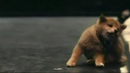 Hachiko: A Dog's Story - Teaser Trailer
