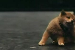 Hachiko: A Dog's Story - Teaser Trailer