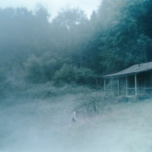 Una suggestiva sequenza del film Antichrist, di Lars Von Trier