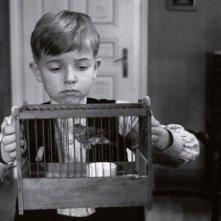 Una sequenza de Il nastro bianco (Das Weiße Band, 2009)