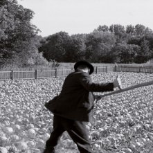 Una sequenza del film Il nastro bianco (Das Weiße Band, 2009)