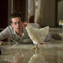 Ed Helms In Un Immagine Del Film Una Notte Da Leoni 118456