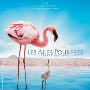 La locandina di The Crimson Wing - Mystery of the Flamingos